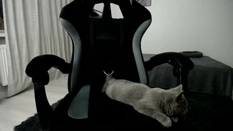 Adam online show from 01/10/25, 05:05