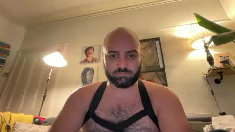 Hairy Guy online show from 02/16/26, 09:44