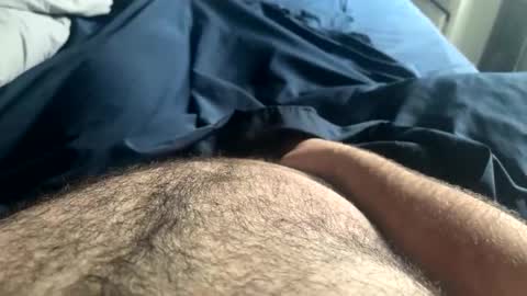 Snapshot of hairynicedaddy chatting on 05/05/26, 03:53 hairynicedaddy online show from 05/05/26, 03:53