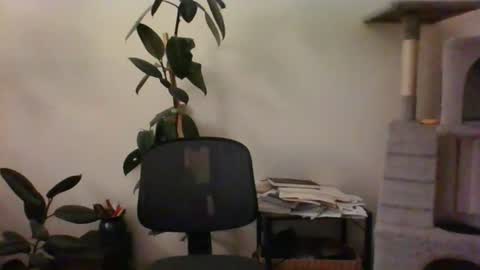 Snapshot of hairypussylover089 chatting on 07/12/26, 04:36 hairypussylover089 online show from 07/12/26, 04:36