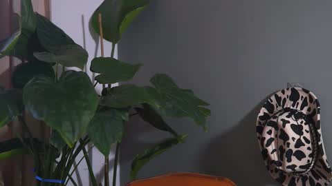 HairyRobXxX online show from 09/20/25, 10:05