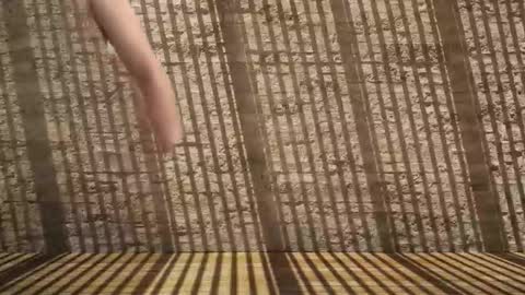 halohha online show from 03/02/26, 10:49