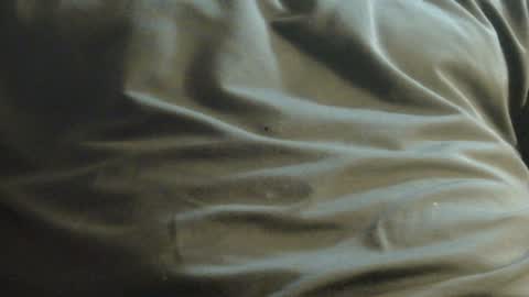 hamhead71 online show from 12/08/24, 10:03