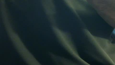 hamhead71 online show from 12/27/24, 06:20