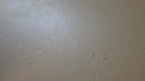 hamhead71 online show from 01/27/25, 06:52