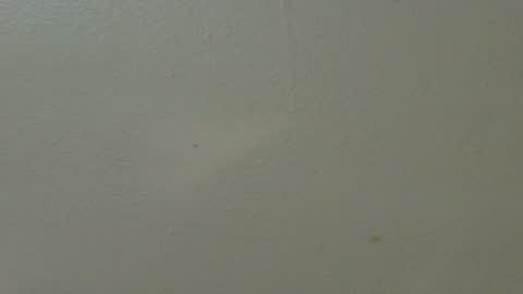 hamhead71 online show from 02/07/25, 01:36