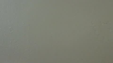 hamhead71 online show from 02/15/25, 05:41