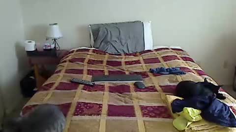 hammerthatthang73 online show from 03/17/26, 05:05