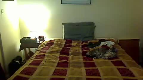 hammerthatthang73 online show from 04/04/26, 05:06