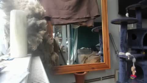 handncocknocum online show from 12/09/24, 08:44