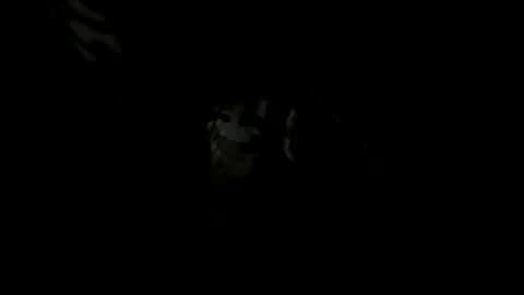 handsomeda1 online show from 12/23/24, 03:12