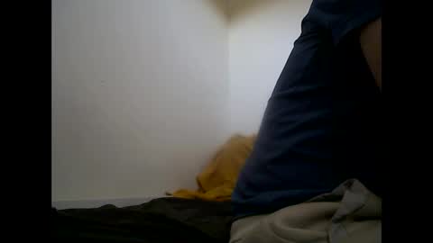 Snapshot of handsomepenis20cm chatting on 04/29/26, 04:22 handsomepenis20cm online show from 04/29/26, 04:22