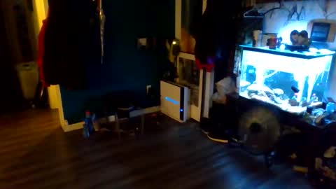 Snapshot of handsomerob42 chatting on 05/18/26, 06:25 handsomerob42 online show from 05/18/26, 06:25