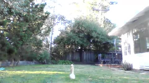 HandySmurf online show from 12/04/24, 11:24