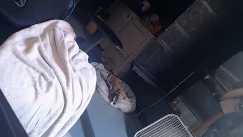 handystud33 online show from 06/03/26, 04:01