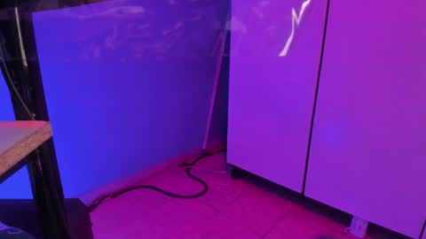 hannyk_ online show from 02/12/26, 11:38