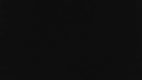 hans10967 online show from 01/23/25, 09:50