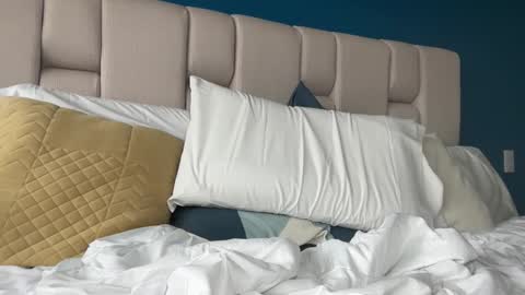 Snapshot of hanzlagerfelt chatting on 11/04/25, 08:52 hanzlagerfelt online show from 11/04/25, 08:52