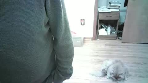 Snapshot of har5 chatting on 01/03/25, 08:01 Hardy-Har online show from 01/03/25, 08:01