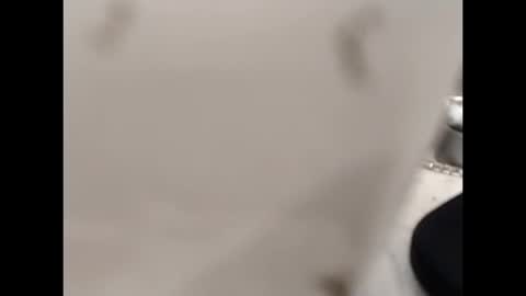 Snapshot of hardandhorny422 chatting on 10/12/25, 12:59 hardandhorny422 online show from 10/12/25, 12:59