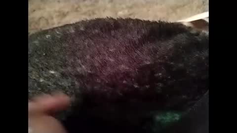 Snapshot of hardandhorny422 chatting on 10/13/25, 05:24 hardandhorny422 online show from 10/13/25, 05:24