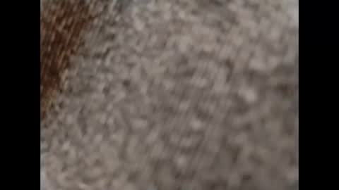 Snapshot of hardandhorny422 chatting on 10/15/25, 11:54 hardandhorny422 online show from 10/15/25, 11:54