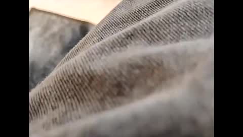 Snapshot of hardandhorny422 chatting on 10/30/25, 11:55 hardandhorny422 online show from 10/30/25, 11:55