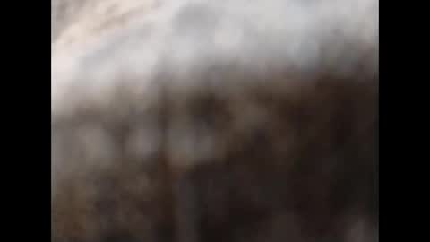 Snapshot of hardandhorny422 chatting on 11/11/25, 11:54 hardandhorny422 online show from 11/11/25, 11:54