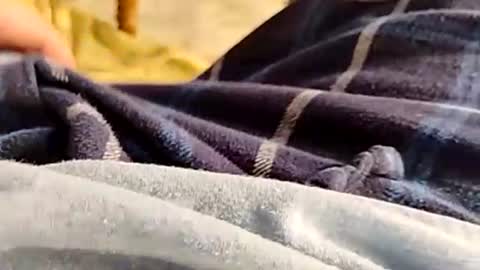 Snapshot of hardandhorny422 chatting on 11/30/25, 04:33 hardandhorny422 online show from 11/30/25, 04:33