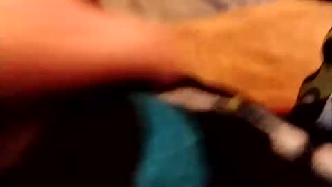 Snapshot of hardandhorny422 chatting on 12/04/25, 03:54 hardandhorny422 online show from 12/04/25, 03:54