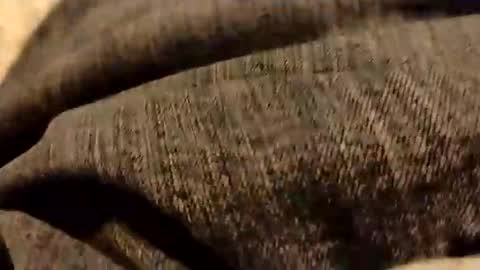 Snapshot of hardandhorny422 chatting on 01/05/26, 06:44 hardandhorny422 online show from 01/05/26, 06:44