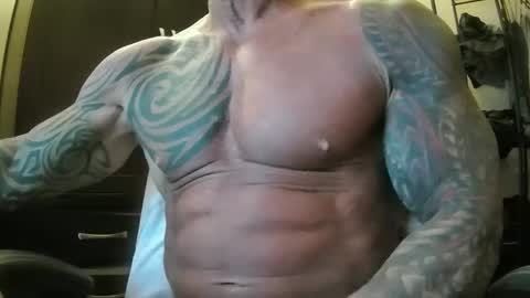 hardbody205a online show from 02/19/25, 01:40