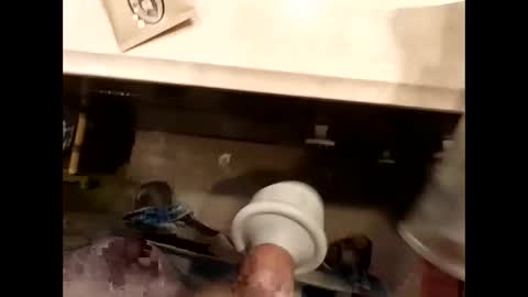 hardforu8675 online show from 04/13/26, 02:00