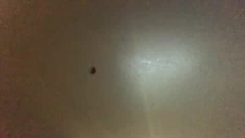 Snapshot of hardforyou3030 chatting on 09/28/25, 11:21 For You online show from 09/28/25, 11:21