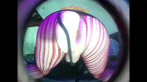 hardkoregigi online show from 09/19/25, 08:31