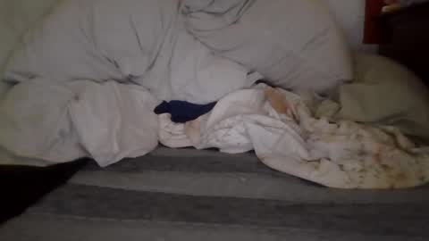 harry1cannary online show from 10/07/25, 08:22