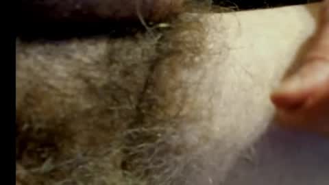 Snapshot of harry_banana chatting on 01/20/25, 11:10 harry_banana online show from 01/20/25, 11:10