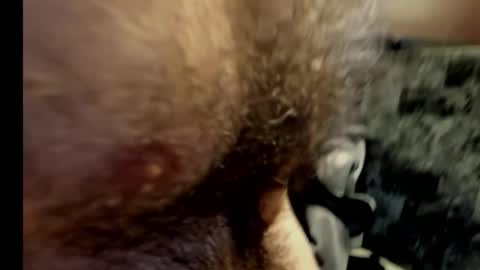 Snapshot of harry_banana chatting on 02/10/25, 10:40 harry_banana online show from 02/10/25, 10:40