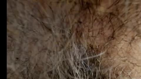 Snapshot of harry_banana chatting on 02/21/25, 08:40 harry_banana online show from 02/21/25, 08:40