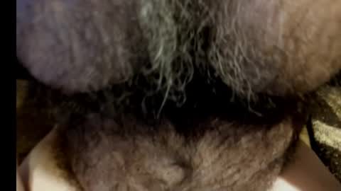 Snapshot of harry_banana chatting on 03/08/25, 08:55 harry_banana online show from 03/08/25, 08:55