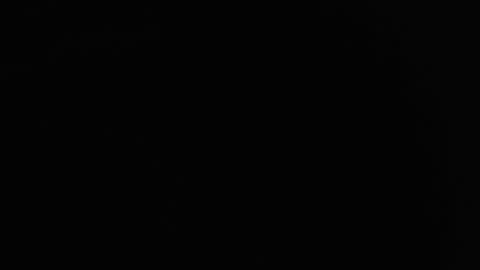 Nicole online show from 12/20/24, 03:58