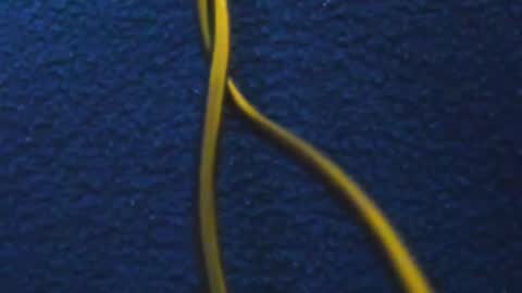 Snapshot of hathor_01_ chatting on 03/05/25, 11:49 andres online show from 03/05/25, 11:49