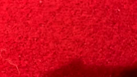 haufd online show from 05/02/26, 12:59
