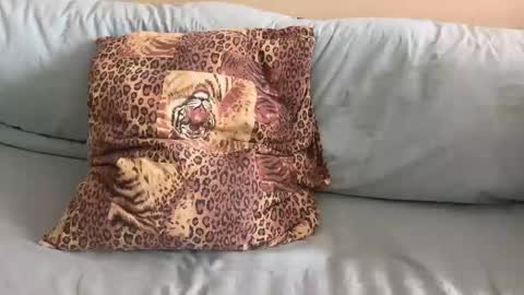 Snapshot of havedream1m chatting on 02/10/26, 10:08 havedream1m online show from 02/10/26, 10:08