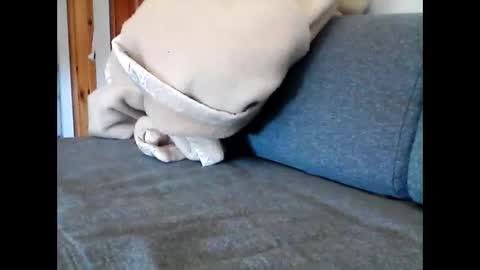havier282874 online show from 05/22/26, 08:53