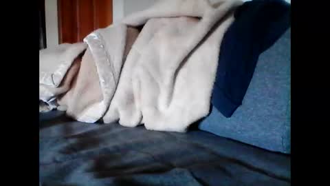 havier282874 online show from 06/09/26, 04:57