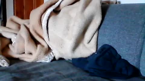 havier282874 online show from 06/17/26, 08:06
