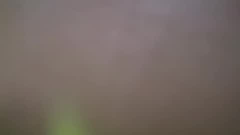 Snapshot of haydarcum chatting on 02/14/25, 02:54 ZhongLi online show from 02/14/25, 02:54