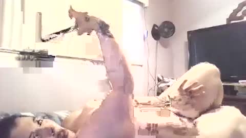 Snapshot of hazelbasil32728 chatting on 10/30/25, 07:25 hazelbasil32728 online show from 10/30/25, 07:25