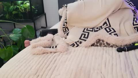 Hazeleo online show from 03/13/26, 09:10